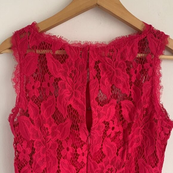 Adrianna Papell Vibrant Pink Lace Dress - Picture 10 of 12